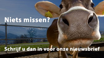 Nieuwsbrief-inschrijving